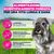 Eukanuba Premium Nutrition Senior Small Breed Pollo