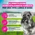 Eukanuba Premium Nutrition Senior Small Breed Pollo