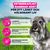 Eukanuba Premium Nutrition Senior Small Breed Chicken