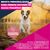 Eukanuba Premium Nutrition Senior Small Breed pollo