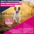 Eukanuba Premium Nutrition Senior Small Breed pollo