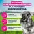 Eukanuba Premium Nutrition Senior Small Breed, kurczak