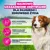 Eukanuba Premium Nutrition Senior Small & Medium Breed, jagnięcina i ryż