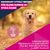 Eukanuba Premium Nutrition Senior Large & Giant Breed Lamb & Rice