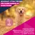 Eukanuba Premium Nutrition Senior Large & Giant Breed Lamb & Rice