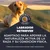 Premium Nutrition Est. 1969. Labrador Retriever. Adaptado para apoyar la naturaleza activa y la condición física de la raza. También adecuado para Curly y Chesapeake Retriever.