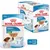 Royal Canin Mini Puppy Hondenvoer in Saus
