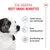 Royal Canin Mini Puppy Hondenvoer in Saus