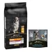 12 kg / 14 kg PURINA PRO PLAN + 426 g Dental Care Snack kaupan päälle! - Medium & Large Adult 7+ Age Defence (14 kg)