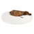 Hond ligt op een ronde, witte hondenmand van zacht pluche materiaal. Mand is groot genoeg voor middelgrote tot grote honden.