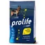 Prolife Smart Adult Medium/ Large Breed Poulet et riz - 2 x 12 kg