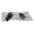 Grey blanket with a dog and a cat lying on it, suitable for pets.