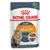 Royal Canin Intense Beauty Care 85 г пауч за котки, изображение на дългокосместа котка, текст: Healthy skin and coat, Sobe-Sauce соус