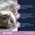 Tekst på engelsk: Antioxidants help support the natural defences. Prebiotics and fibre to help promote intestinal heath and digestion. Formulated to support urinary tract health. KITTEN 1–12 months.
