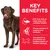 Key benefits: EPA from fish oil helps keep joint cartilage healthy, proven nutrition to support joint flexibility, glucosamine and chondroitin are building blocks of healthy cartilage.