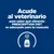Acude al veterinario para saber qué alimento PRESCRIPTION DIET es adecuado para tu mascota.
