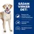 Sådan virker det: Begrænset antal ingredienser og med et enkelt animalsk protein, sammensat uden sojaprotein, højt indhold af omega-3 fedtsyrer. Hund med blåt halsbånd.