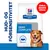 Hill's Prescription Diet Canine Derm komplett hundefôr