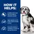 Product benefits: encourages appetite, contains highly digestible protein for strength and energy, made with ActivBiome+ technology to support gut microbiome.