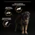 PURINA PRO PLAN Large Robust Adult Everyday Nutrition