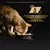 Gatto che mangia da una ciotola nera con scritta Purina Pro Plan. Testo: Nutrizione basata sulla ricerca scientifica, sviluppata dai veterinari di Purina.