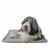 Chien à poils longs allongé sur un tapis gris en tissu, fond blanc. Le tapis est rectangulaire et semble moelleux.