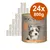Confezione da 24 lattine da 800 g di DOG'S LOVE Senior/Light, immagine della confezione con cane e testo visibile: 'SENIOR/LIGHT', 'FEINE KOST FÜR FEINE HUNDE'. Confezione da 24 lattine da 800 g di DOG'S LOVE Senior/Light, immagine della confezione con cane e testo visibile: 'SENIOR/LIGHT', 'FEINE KOST FÜR FEINE HUNDE'.