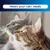 Ever Clean® Multiple Cat Clumping Cat Litter