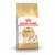 Royal Canin Adult Sphynx kattenvoer, afbeelding van een Sphynx kat op de verpakking, tekst: Feline Breed Nutrition, Non Energy Break, tailor-made nutrition.