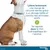 Collier antiparasitaire Seresto® pour petit chien (≤ 8 kg)