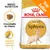 ROYAL CANIN ADULT Sphynx, crocchetta su misura, apporto calorico elevato, Top Seller, confezione con immagine di gatto Sphynx e dettagli nutrizionali visibili. ROYAL CANIN ADULT Sphynx, crocchetta su misura, apporto calorico elevato, Top Seller, confezione con immagine di gatto Sphynx e dettagli nutrizionali visibili.