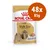 Confezione Royal Canin Adult Shih Tzu, 48 bustine da 85 g. Testo visibile: Healthy Skin & Coat. Immagine di un cane Shih Tzu e crocchette sul fronte della confezione.