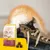 Sac Josera Kitten avec photo de chaton, croquettes rondes visibles devant l’emballage. Queue d’un chat roux et blanc posée sur une chaussure en cuir noir et marron.