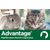 Advantage® 80 pour chat et lapin > 4 kg