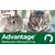Pipettes Advantage 40