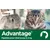 Pipettes Advantage 40