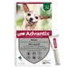 Advantix® très petit chien jusqu'à 4 kg - 6 mois de protection (6 pipettes )