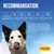 Tableau de recommandations alimentaires Josera : 5 kg 320–440 g, 10 kg 540–740 g, 20 kg 910–1.240 g, 30 kg 1.230–1.680 g, 40 kg 1.520–2.090 g par jour.