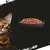 Schale mit Nassfutter und Kopf einer getigerten Katze, Produktdarstellung für Tiernahrung.