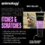 Animology Flea & Tick shampoo helps wash out fleas, ticks, mites and lice, soothes skin with neem oil, contains conditioner and pro-vitamin B5, and is infused with tea tree scent.