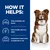How it helps: helps strengthen skin barrier, drives healthy skin from within, formulated to help soothe and nourish skin and coat. Includes illustrative icons and an animal sitting.