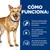 CÓMO FUNCIONA: Fórmula muy fácil de digerir para favorecer la absorción de nutrientes. Fibra prebiótica para fomentar la actividad de las bacterias intestinales beneficiosas. Altos niveles de electrolitos y vitaminas B; Antioxidantes clínicamente probados. CÓMO FUNCIONA: Fórmula muy fácil de digerir para favorecer la absorción de nutrientes. Fibra prebiótica para fomentar la actividad de las bacterias intestinales beneficiosas. Altos niveles de electrolitos y vitaminas B; Antioxidantes clínicamente probados.