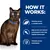 HOW IT WORKS: Clinically proven L-carnitine levels, High protein and optimal carbohydrate levels help regulate blood sugar, Clinically proven antioxidants (angol nyelvű szöveg)