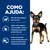 Texto: Como ajuda: 96% dos cães perderam peso em casa. Ajuda a não recuperar o peso perdido e fornece energia para momentos de diversão ativa. Perda de peso fácil: os cães perdem peso sem reduzir excessivamente o tamanho das porções.