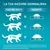 Consigli alimentari per peso del gatto: 4–6 kg 55–80 g, 6–8 kg 80–105 g, 8–10 kg 105–130 g. Le razioni devono essere adeguate alle condizioni ambientali e fisiche.