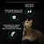 Testo: Mantiene in salute il tratto urinario, supporta reni sani, favorisce il buon mantenimento delle articolazioni. Immagine di un gatto con icone illustrative.