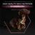 HIGH-QUALITY DAILY NUTRITION for sensitive skin, text above a brown puppy with a stylised digestive graphic on its body. All text in English.