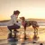 PURINA PRO PLAN Large Adult Robust Lamm & Reis Sensitive Digestion PURINA PRO PLAN Large Adult Robust Lamm & Reis Sensitive Digestion