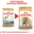 Porovnanie starého a nového balenia krmiva Royal Canin Adult Boxer s textom: Nový vzhľad, rovnaká receptúra. Viditeľné oba obaly a názov produktu.