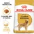 Embalagem Royal Canin Adult Golden Retriever, texto visível: 'Croquete feito à medida', 'Pele e pelagem saudáveis', imagem de croquete e cão Golden Retriever.